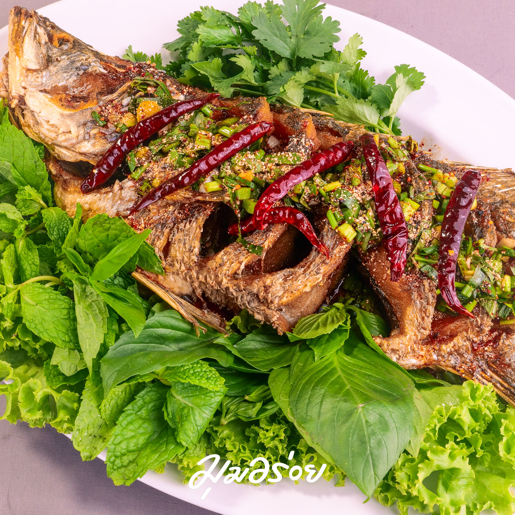 ปลากะพงทอดเซอร์ลาวสล็อต